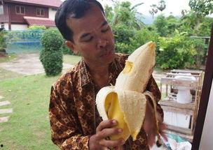 国产三级 第6页